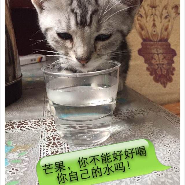 迈阿密大学Diploma in Marketing